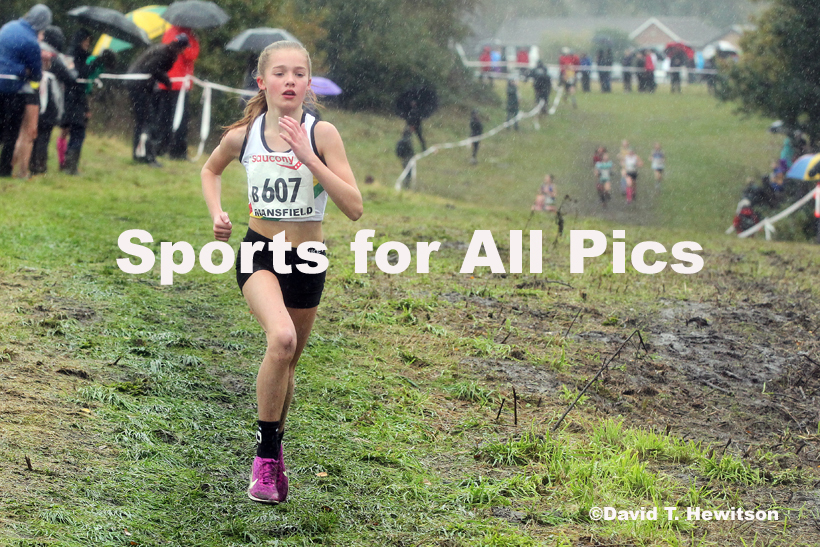 Girls under-13s, National Cross Country Relay Champs., Berry Hill Park, Mansfield.  Photo: David T. Hewitson/Sports for All Pics